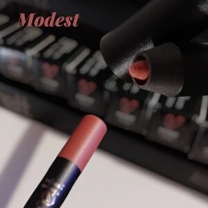 Melt Cosmetics Allday Everyday Lipliner MODEST Ultra Mate Makeup Beauty New